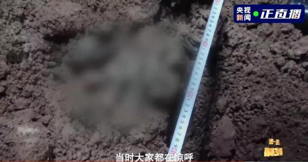 聊城网站建设设计开发公司的简单介绍