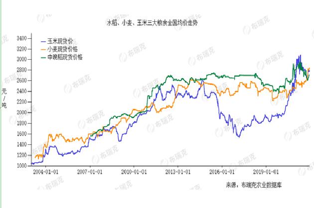 聊城网站运营托管(聊城淘宝运营)