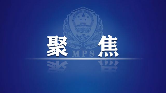 聊城平安机动车违章查询系统官方网站(聊城市网上车管所官网)”