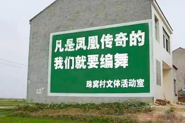 聊城凤凰国际学校网站(聊城大学教育系统)