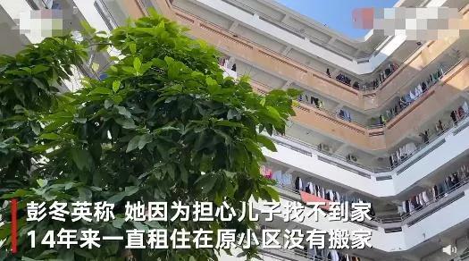 聊城市律师协会网站(聊城市司法局)