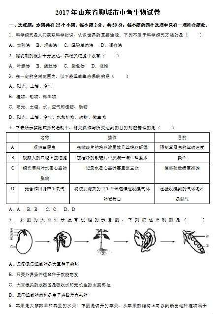 聊城市中考官方网站(聊城中考2021成绩查询)