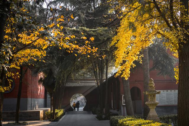 近代史纲要网站聊城大学(聊城大学教务处官网)